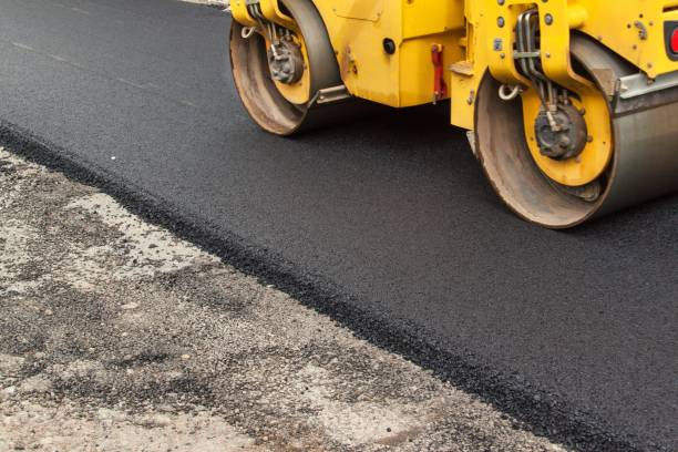 Best Professional Driveway Pavers  in Carrier Mls, IL